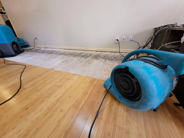 Professional Burst Pipe Water Damage technician working in Beryl, UT